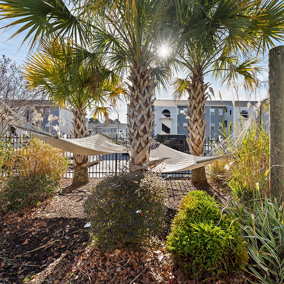 Hammocks-01-Wilmington-Commons-Wilmington-12